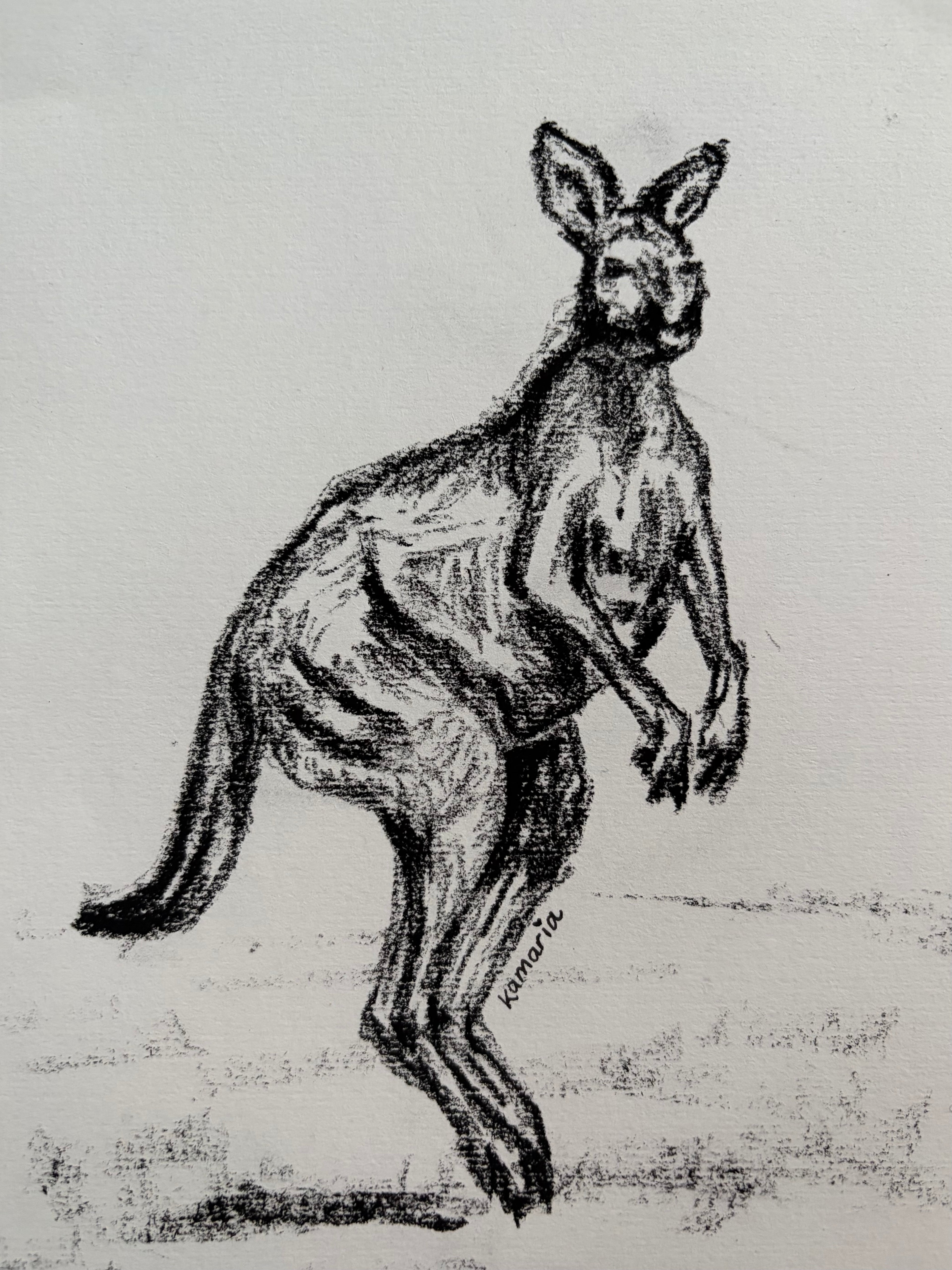 Kangaroo A5 Charcoal(Limited Edition)