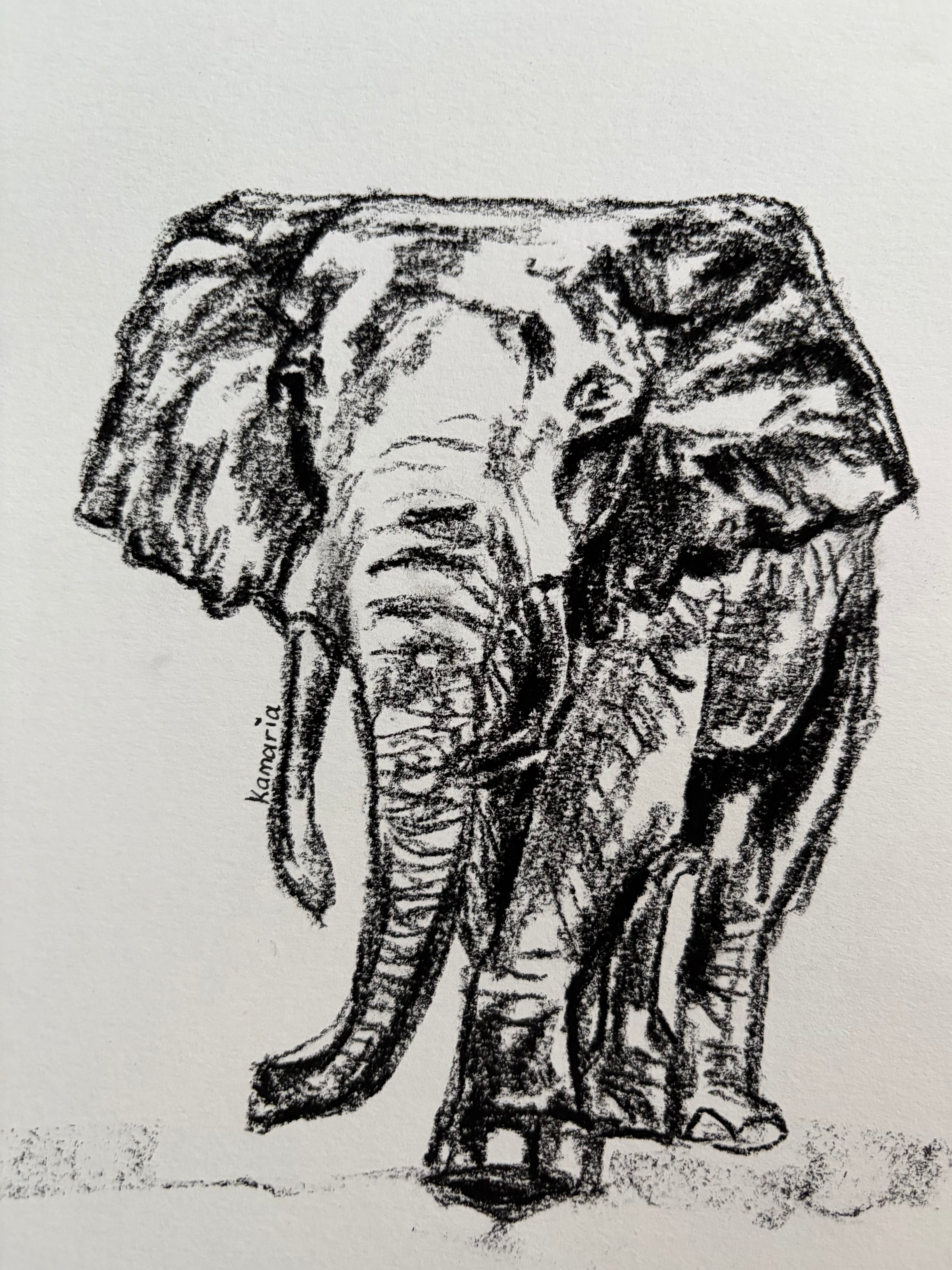 Elephant A5 charcoal(Limited Edition)