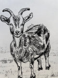 Goat A5 Charcoal (Limited Edition)