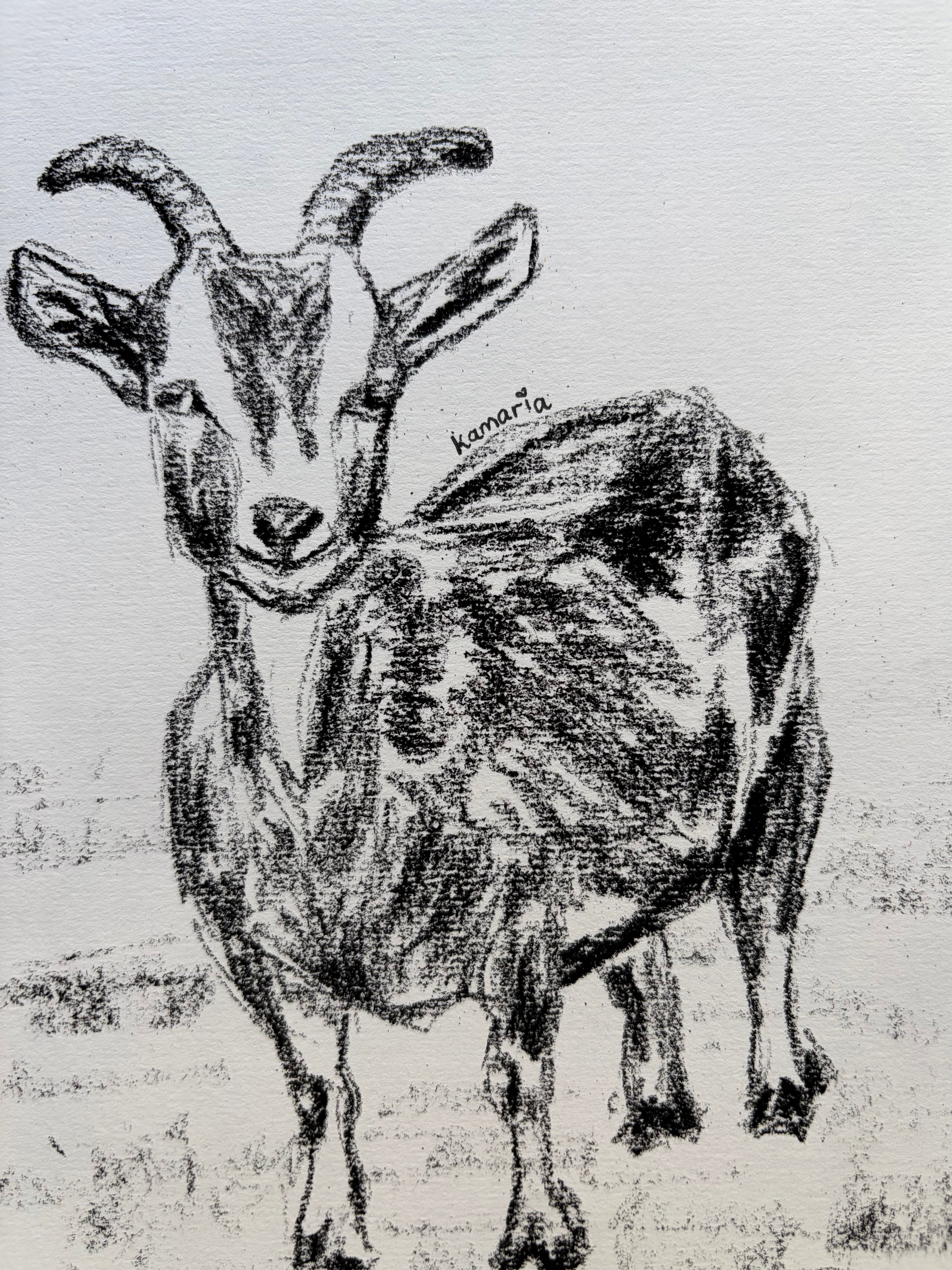 Goat A5 Charcoal (Limited Edition)