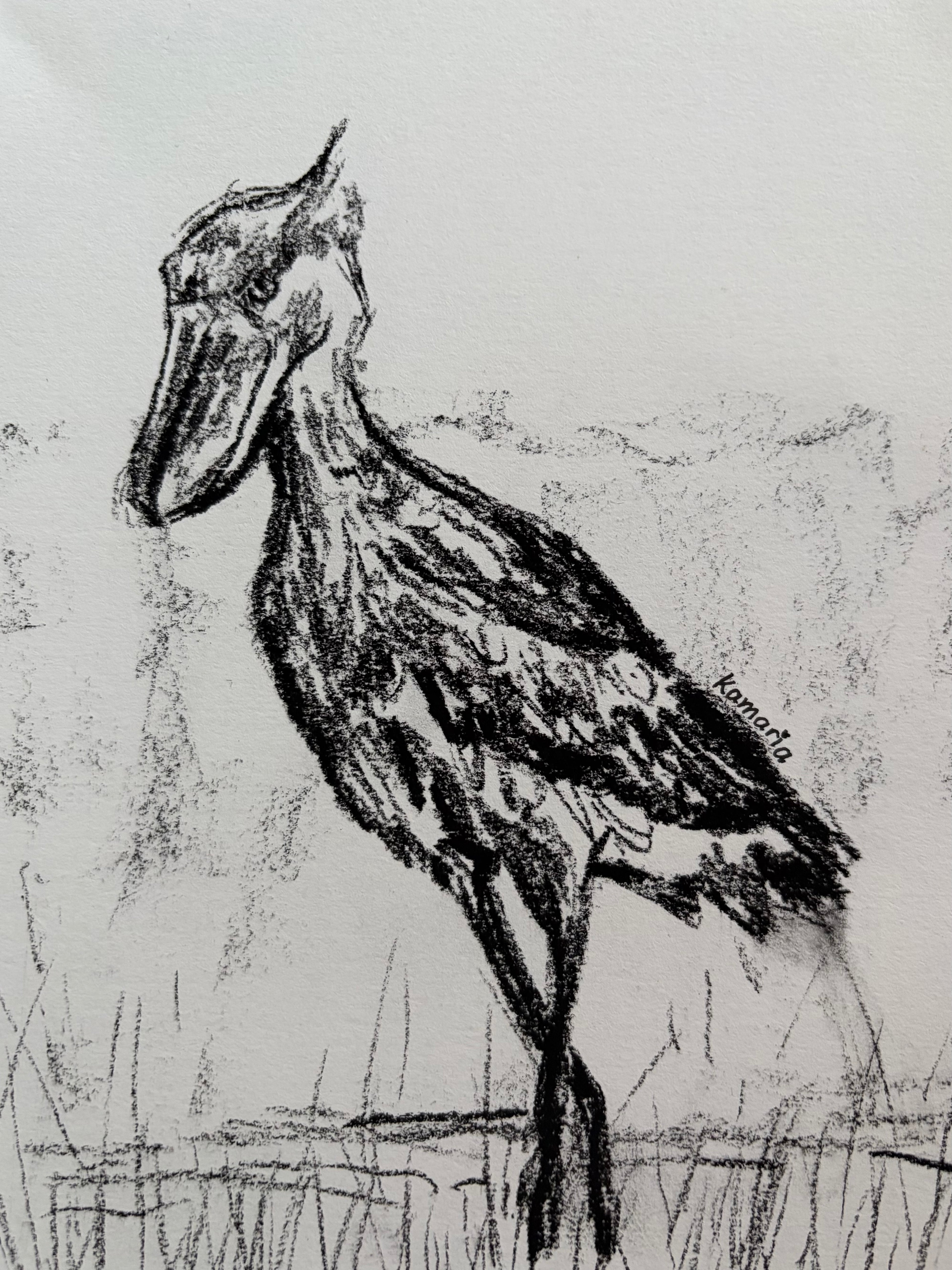 Shoebill A5 Charcoal(Limited Edition)
