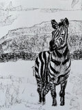 Zebra A5 Charcoal (Limited Edition)