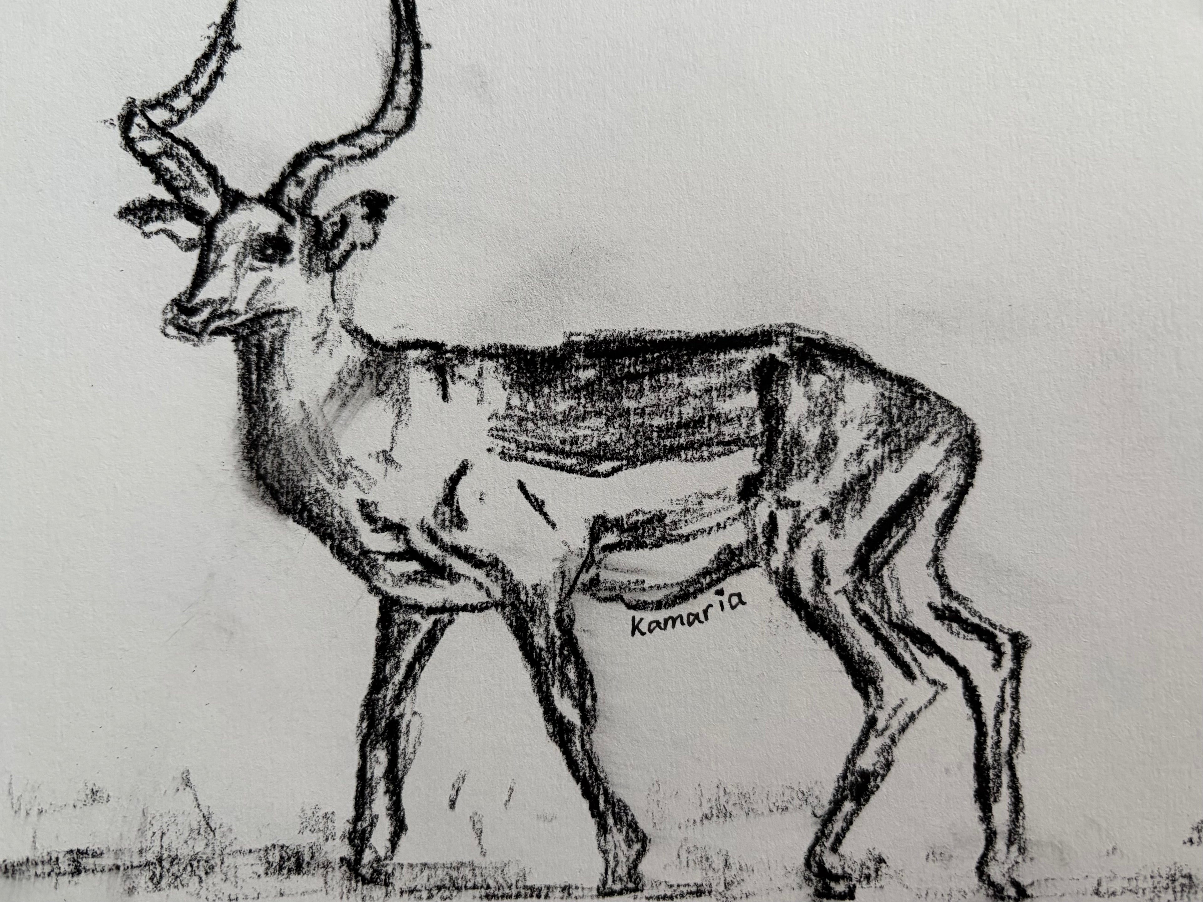Antelope A5 Charcoal(Limited Edition)