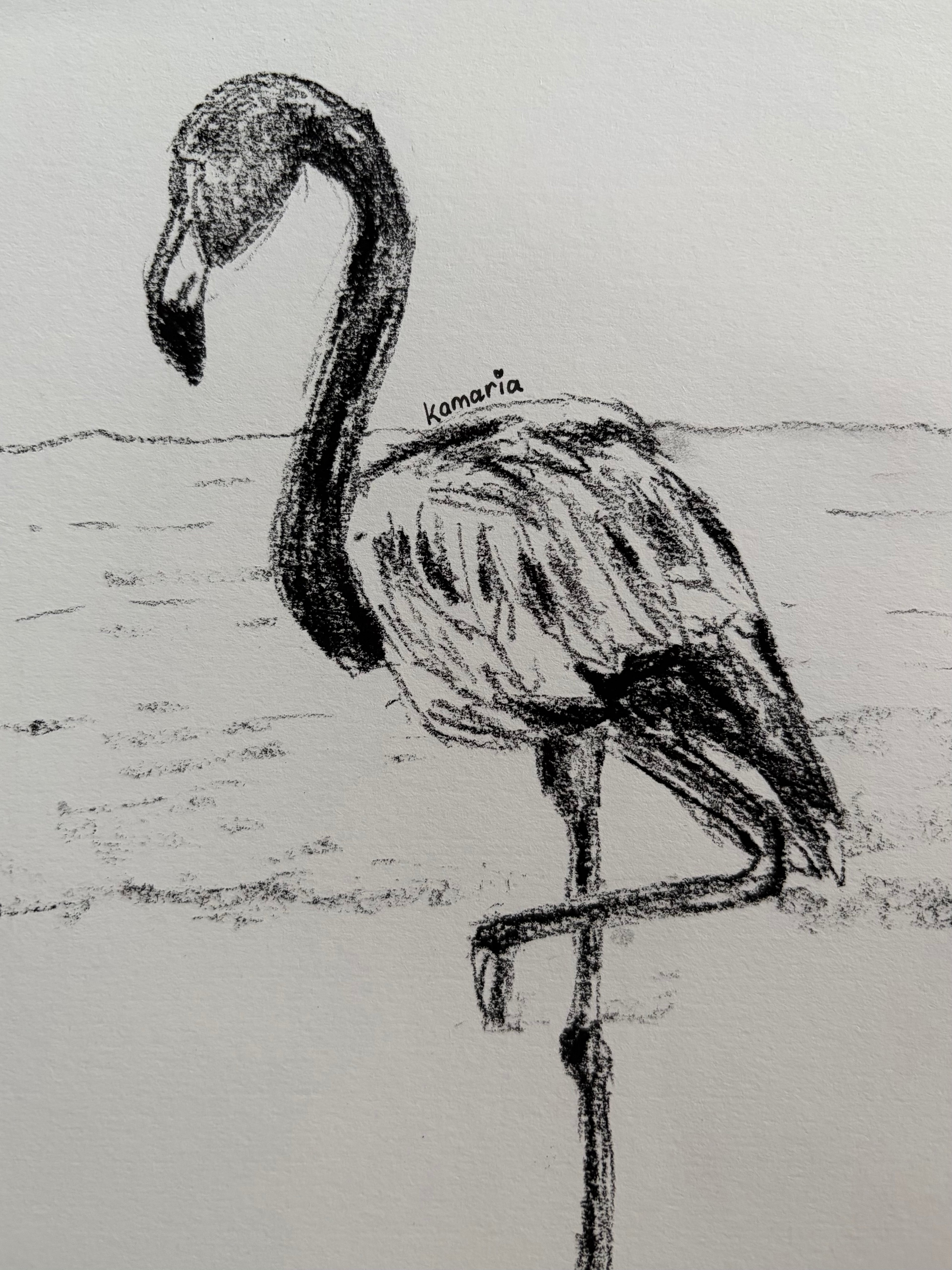 Flamingo A5 Charcoal(Limited Edition)
