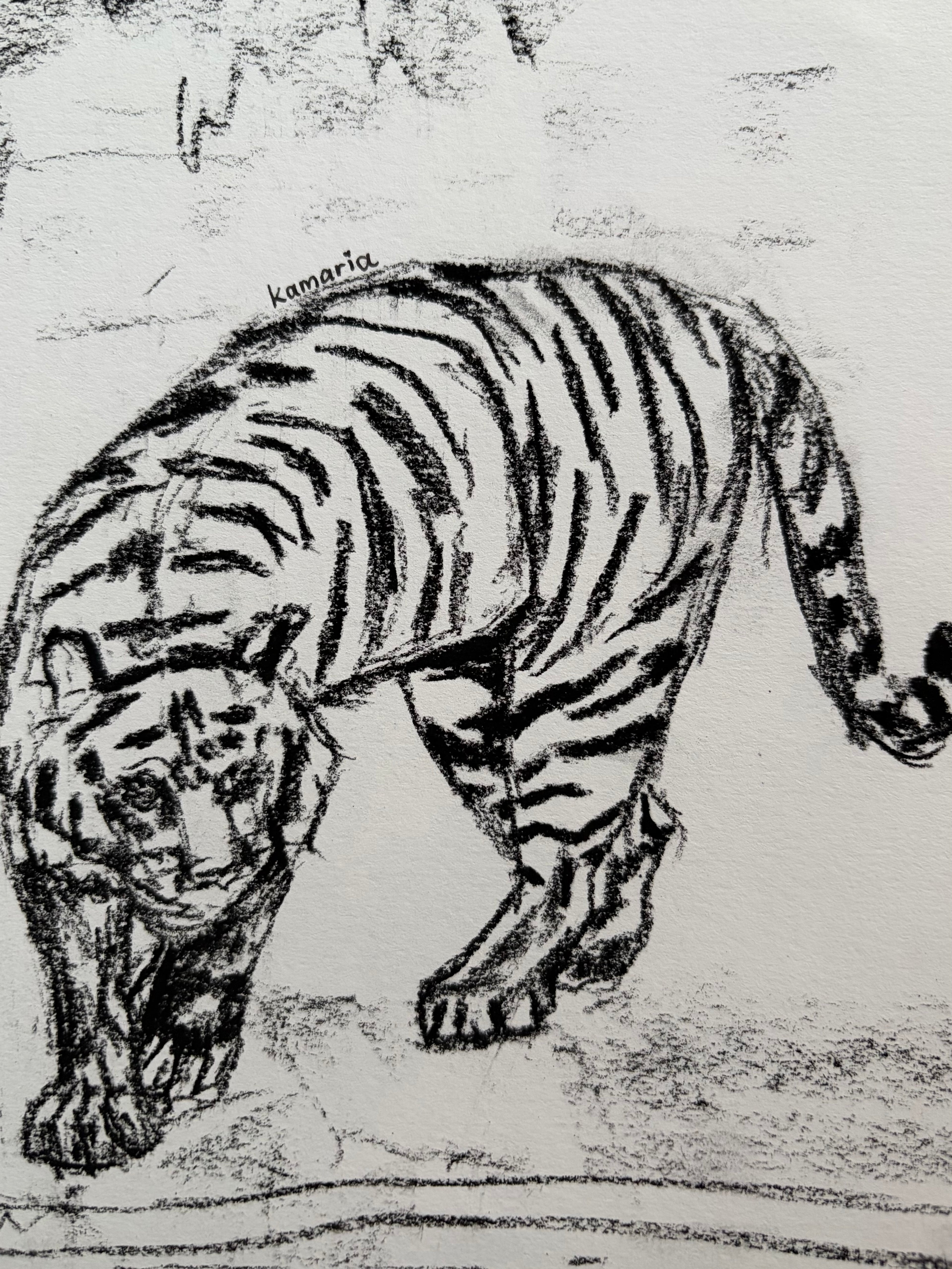 Tiger A5 Charcoal(Limited Edition)