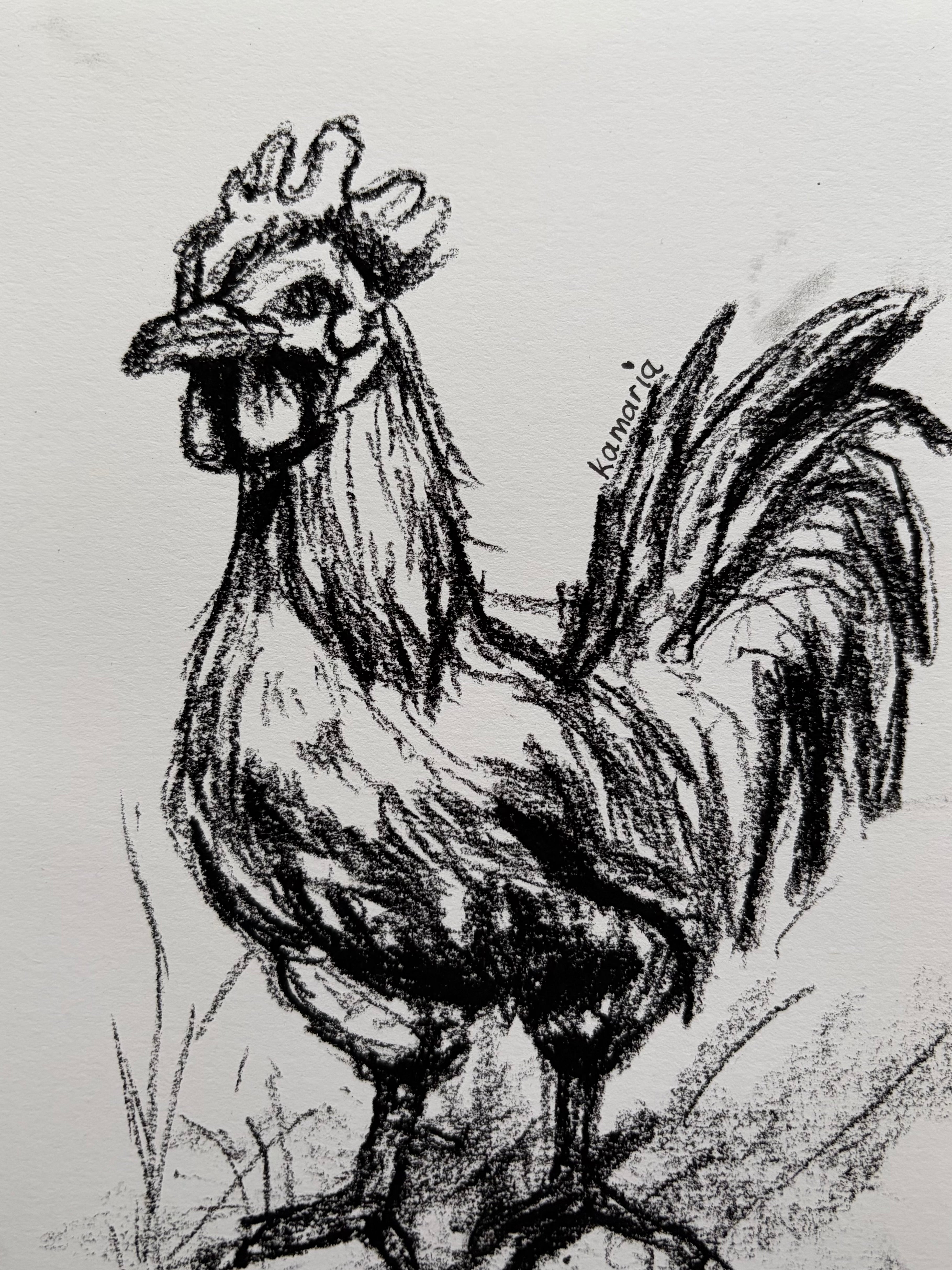 Chicken A5 Charcoal (Limited Edition)