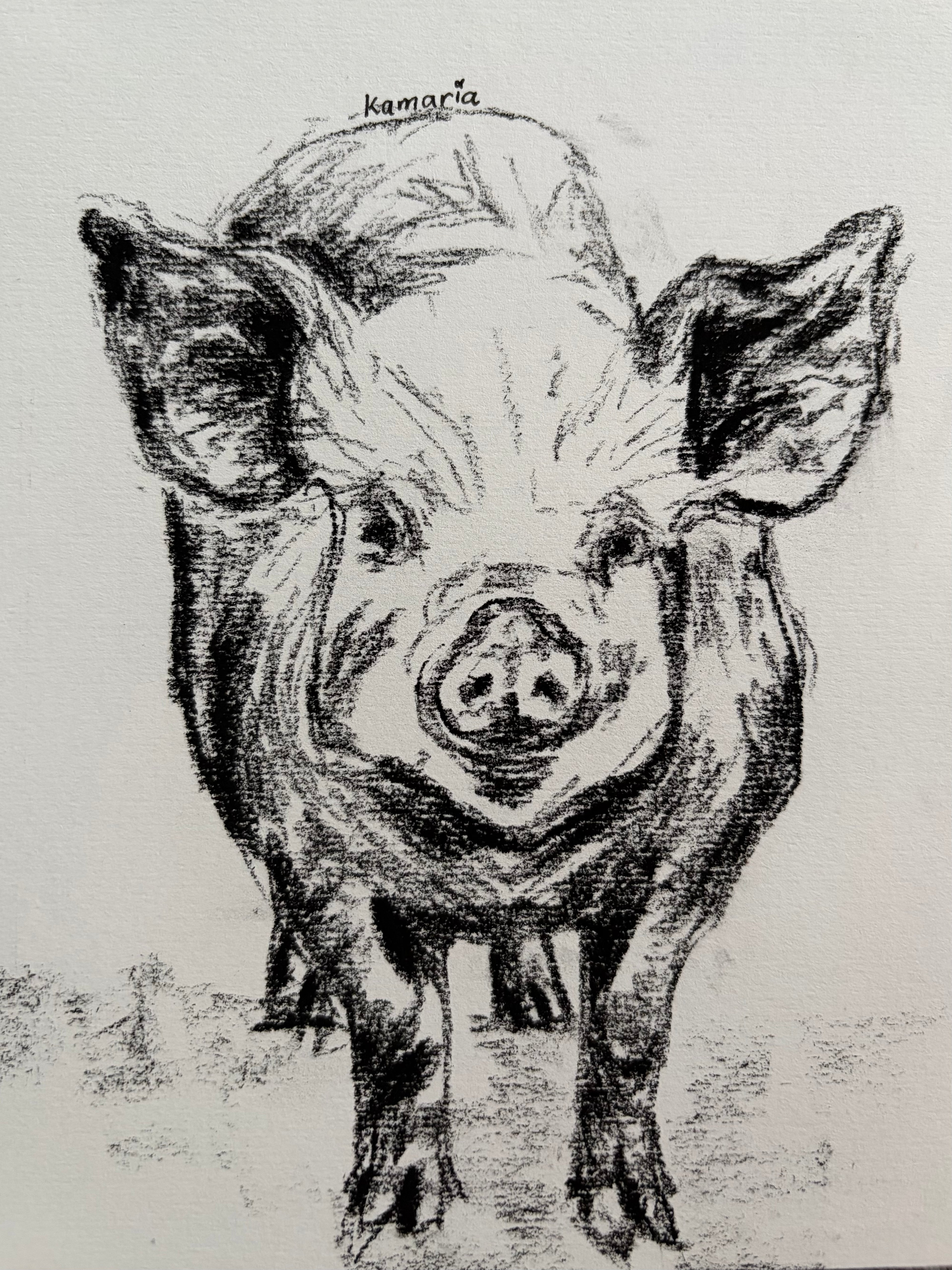 Pig A5 Charcoal(Limited Edition)