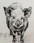Pig A5 Charcoal(Limited Edition)