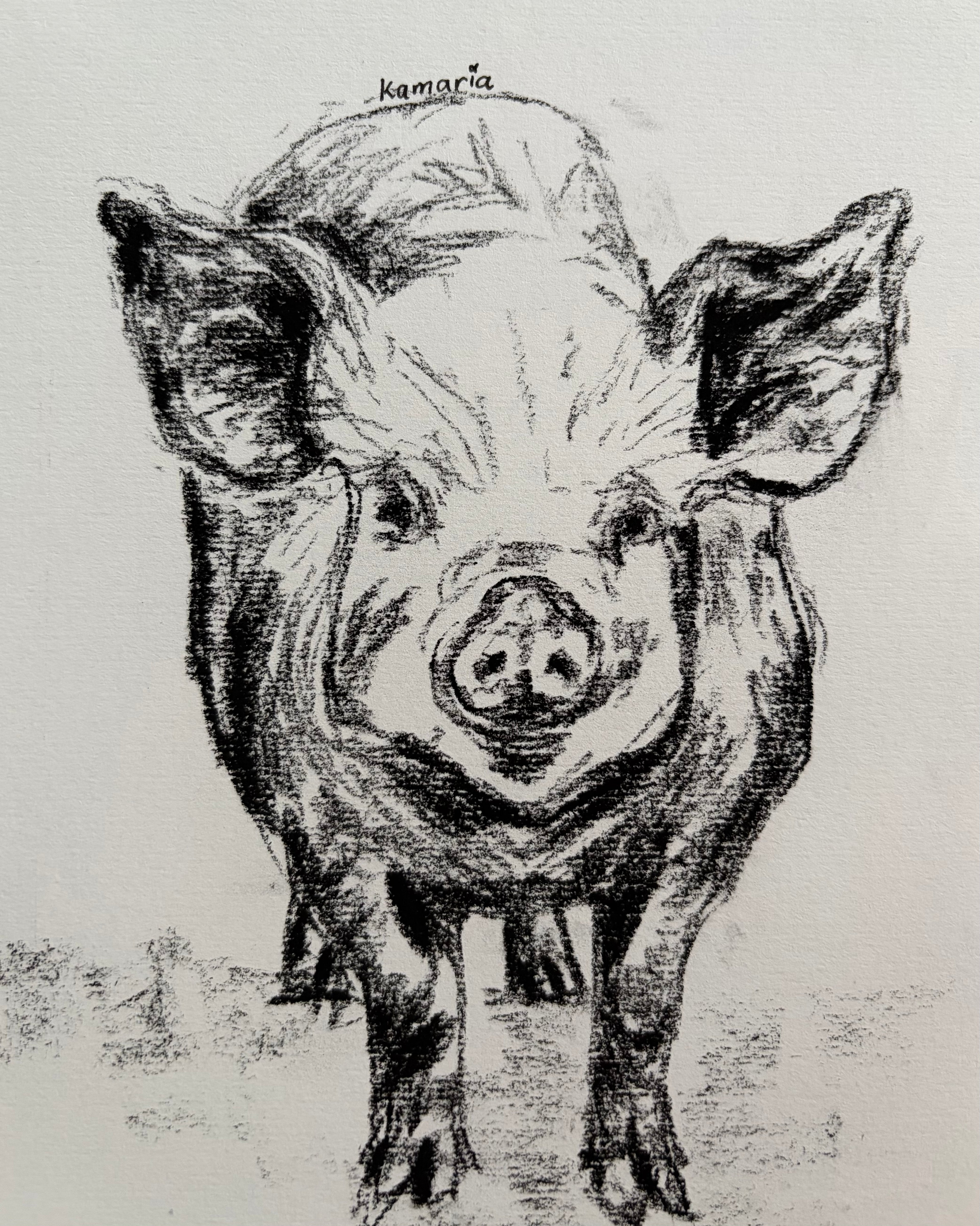 Pig A5 Charcoal(Limited Edition)
