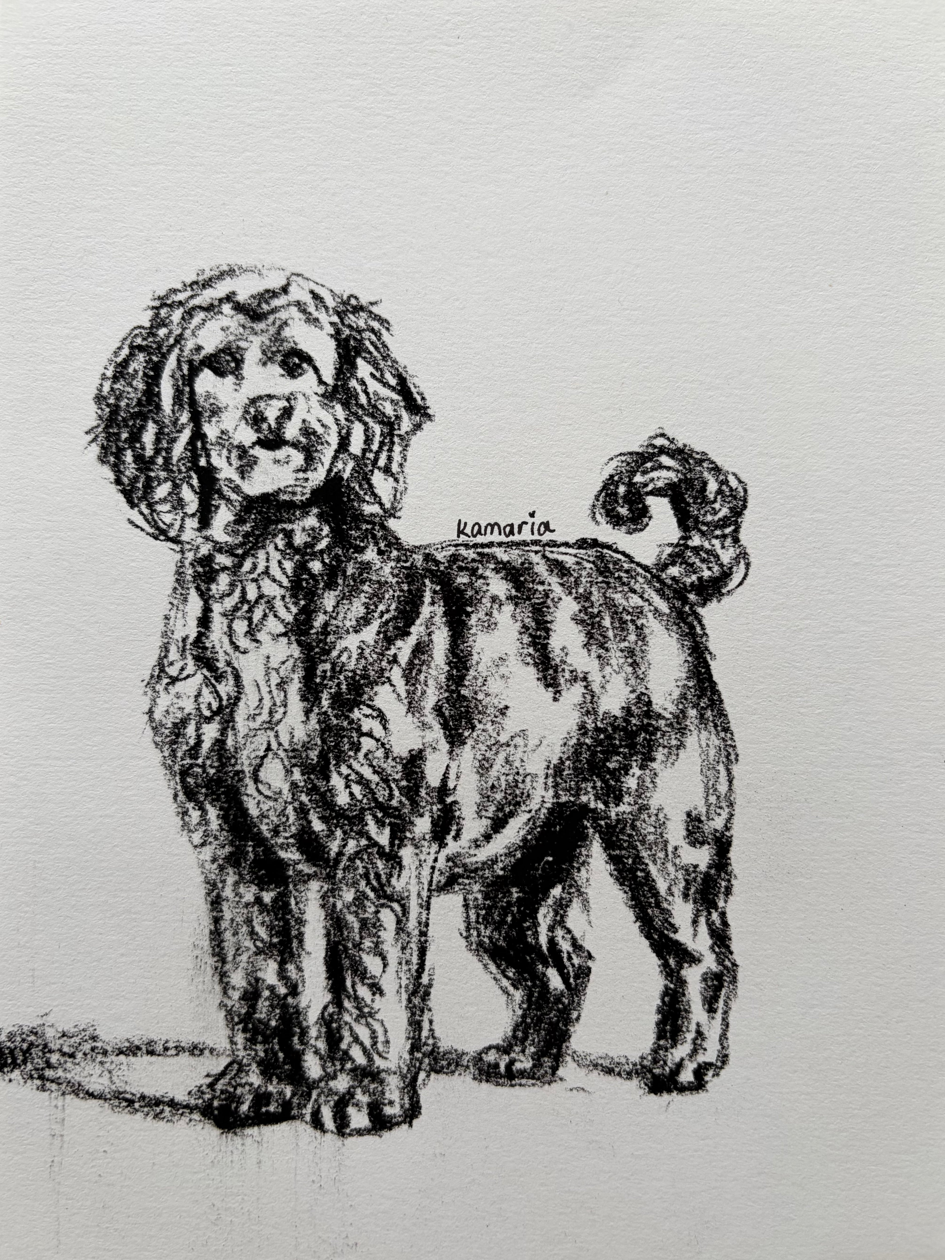 Dog A5 Charcoal(Limited Edition)