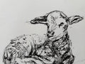 Lamb A5 Charcoal(Limited Edition)
