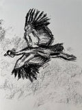 Crested Crane A5 charcoal (Limited Edition)