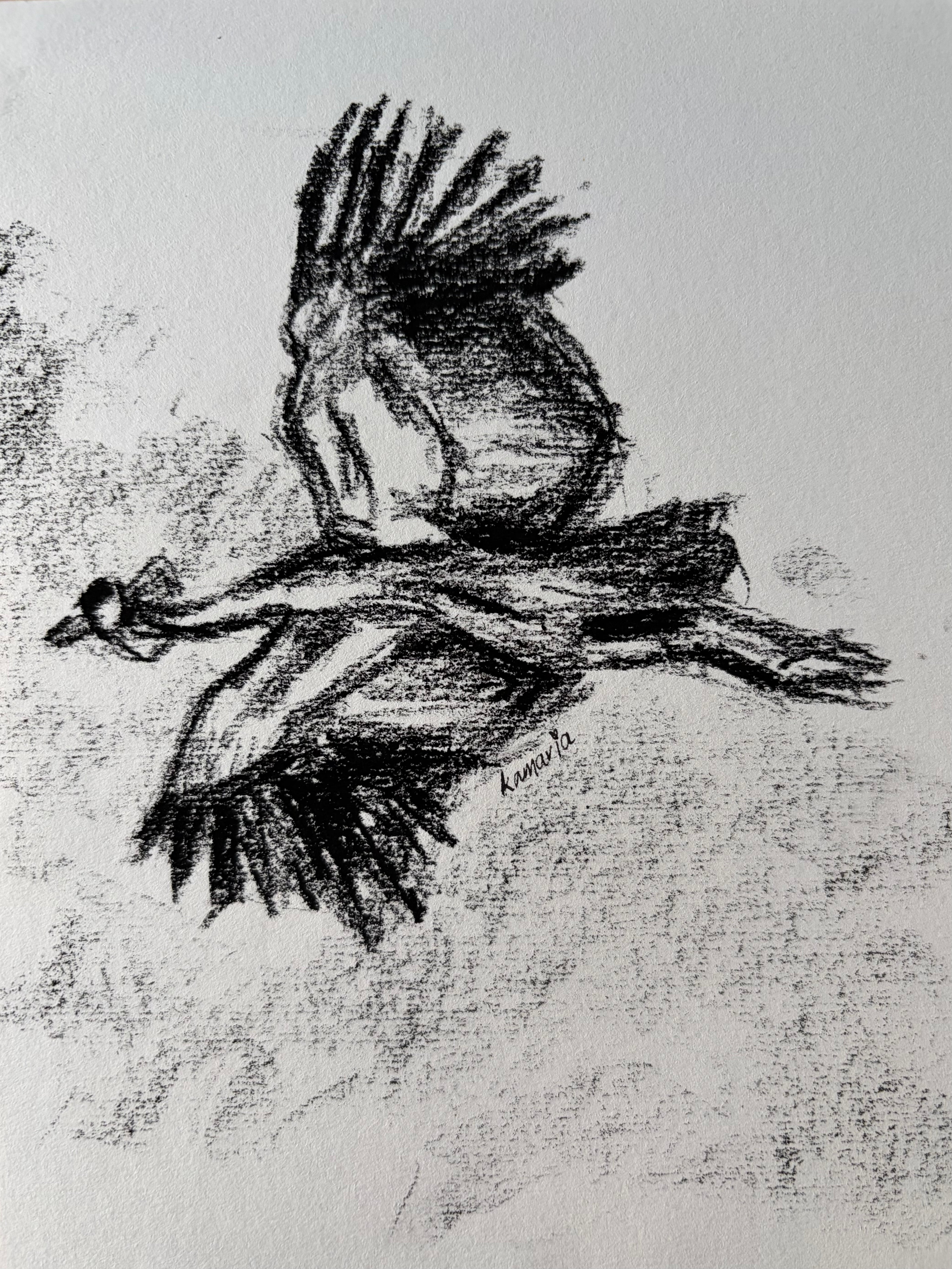 Crested Crane A5 charcoal (Limited Edition)