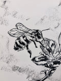 Bee A5 Charcoal(Limited Edition)