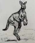 Kangaroo A5 Charcoal(Limited Edition)