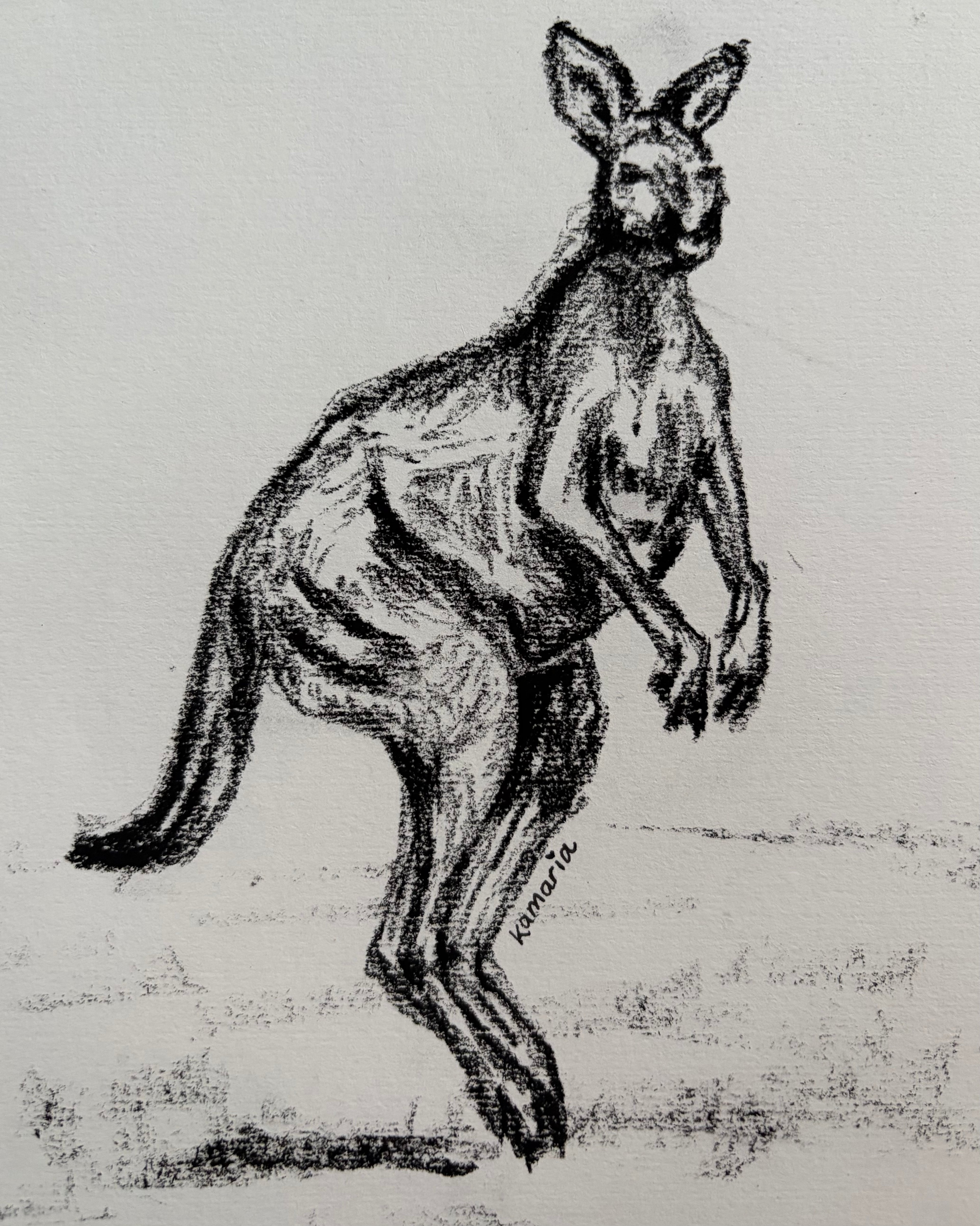 Kangaroo A5 Charcoal(Limited Edition)