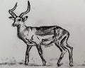 Antelope A5 Charcoal(Limited Edition)