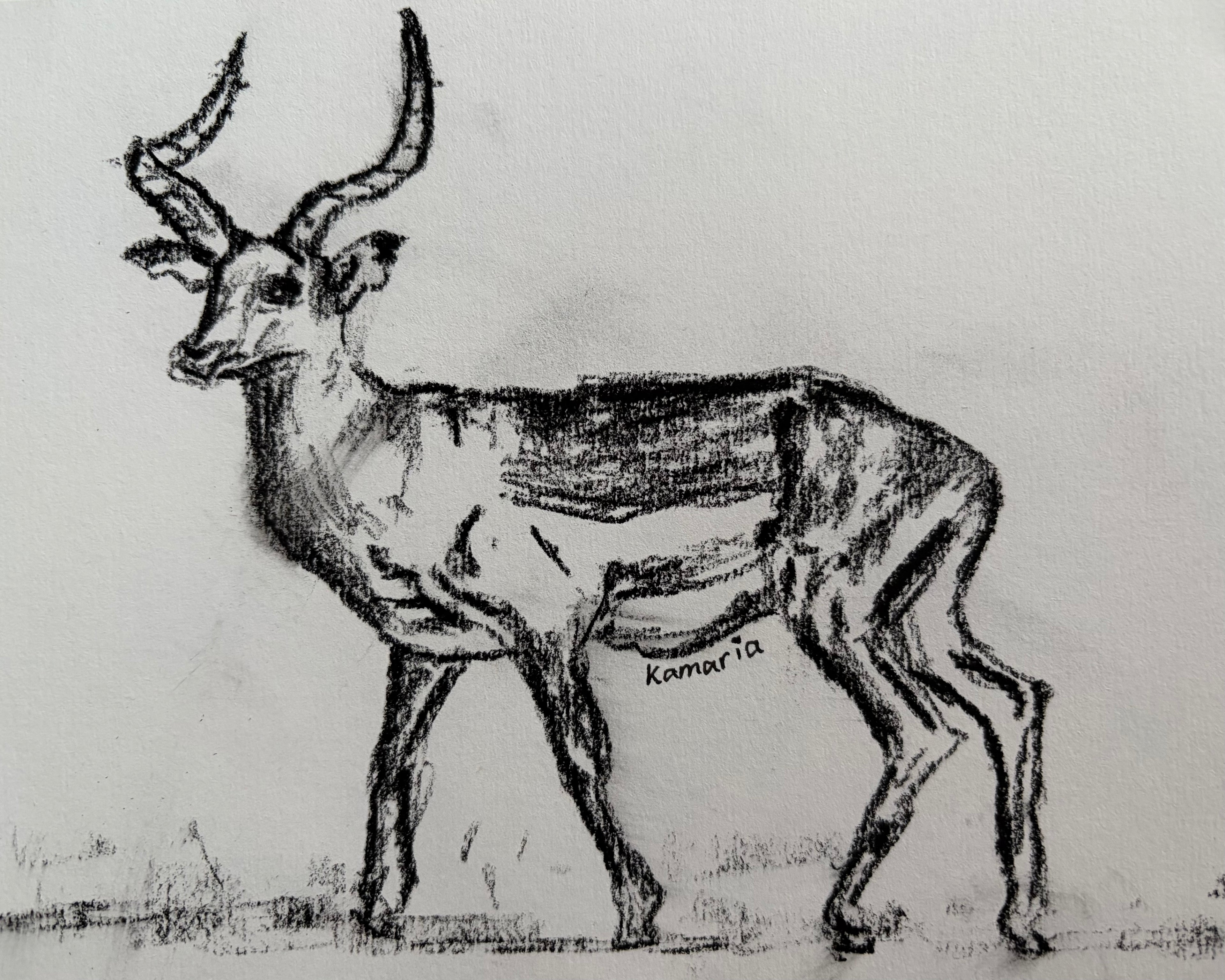 Antelope A5 Charcoal(Limited Edition)