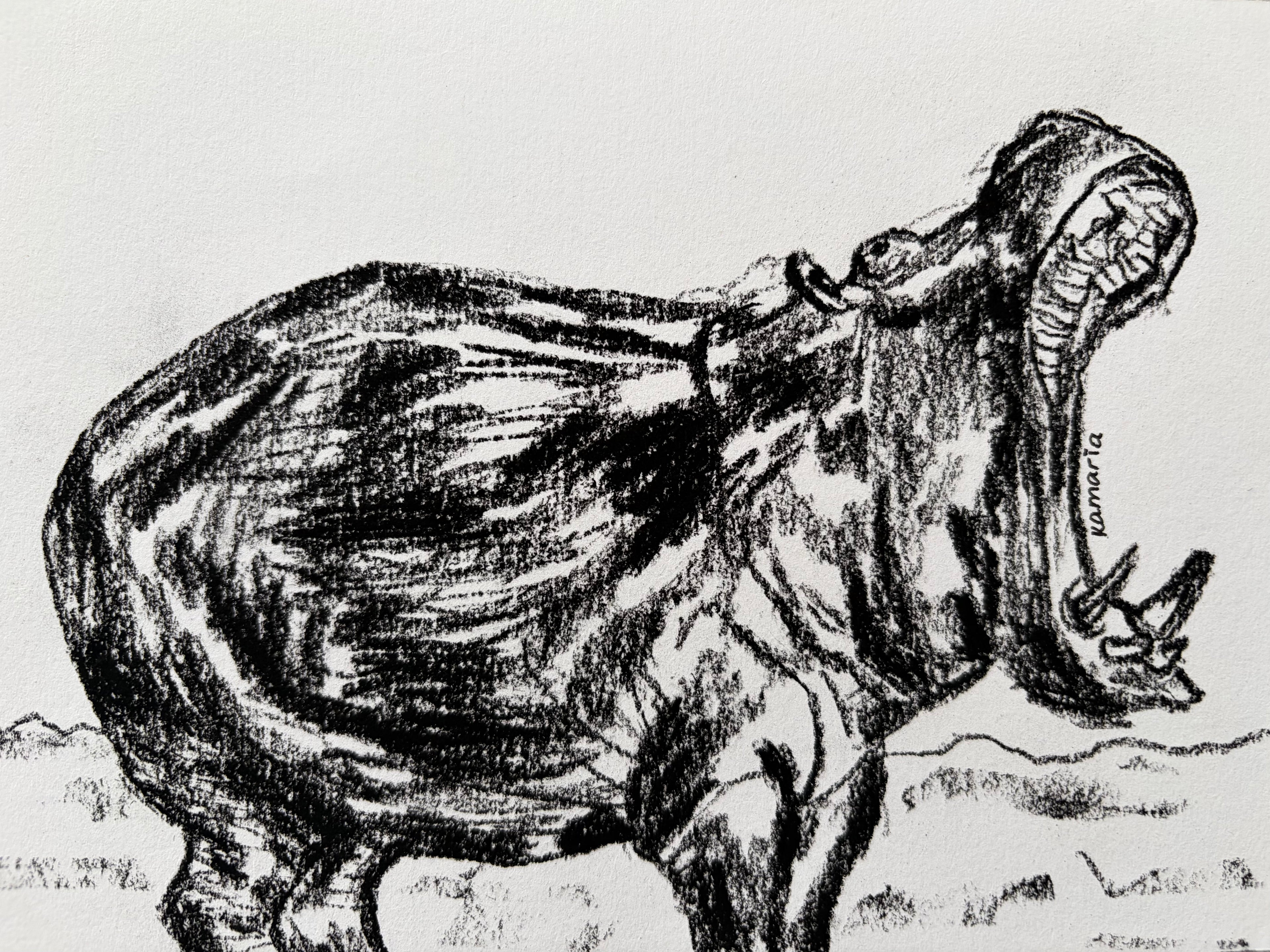 Hippo A5 Charcoal(Limited Edition)