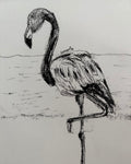 Flamingo A5 Charcoal(Limited Edition)