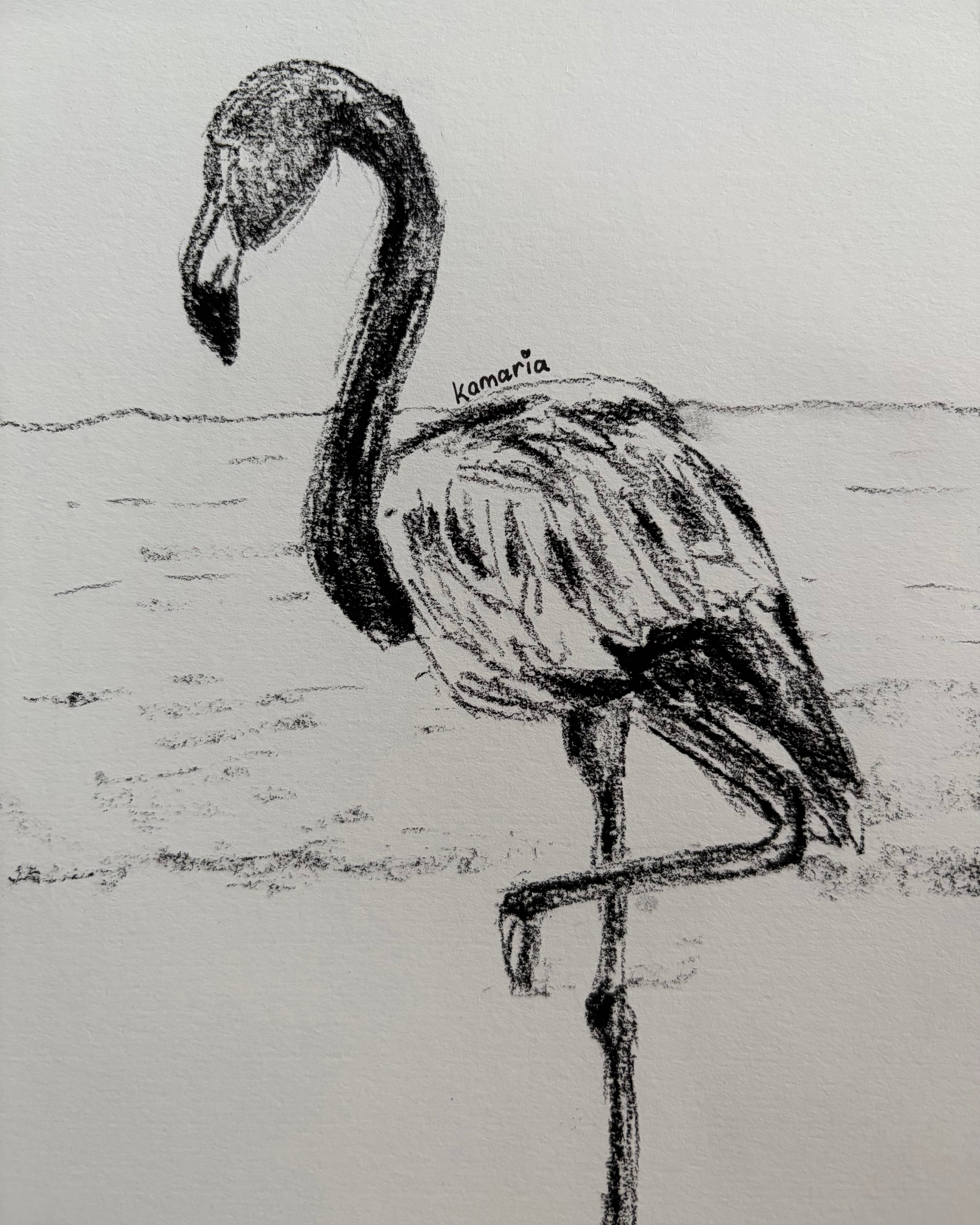 Flamingo A5 Charcoal(Limited Edition)