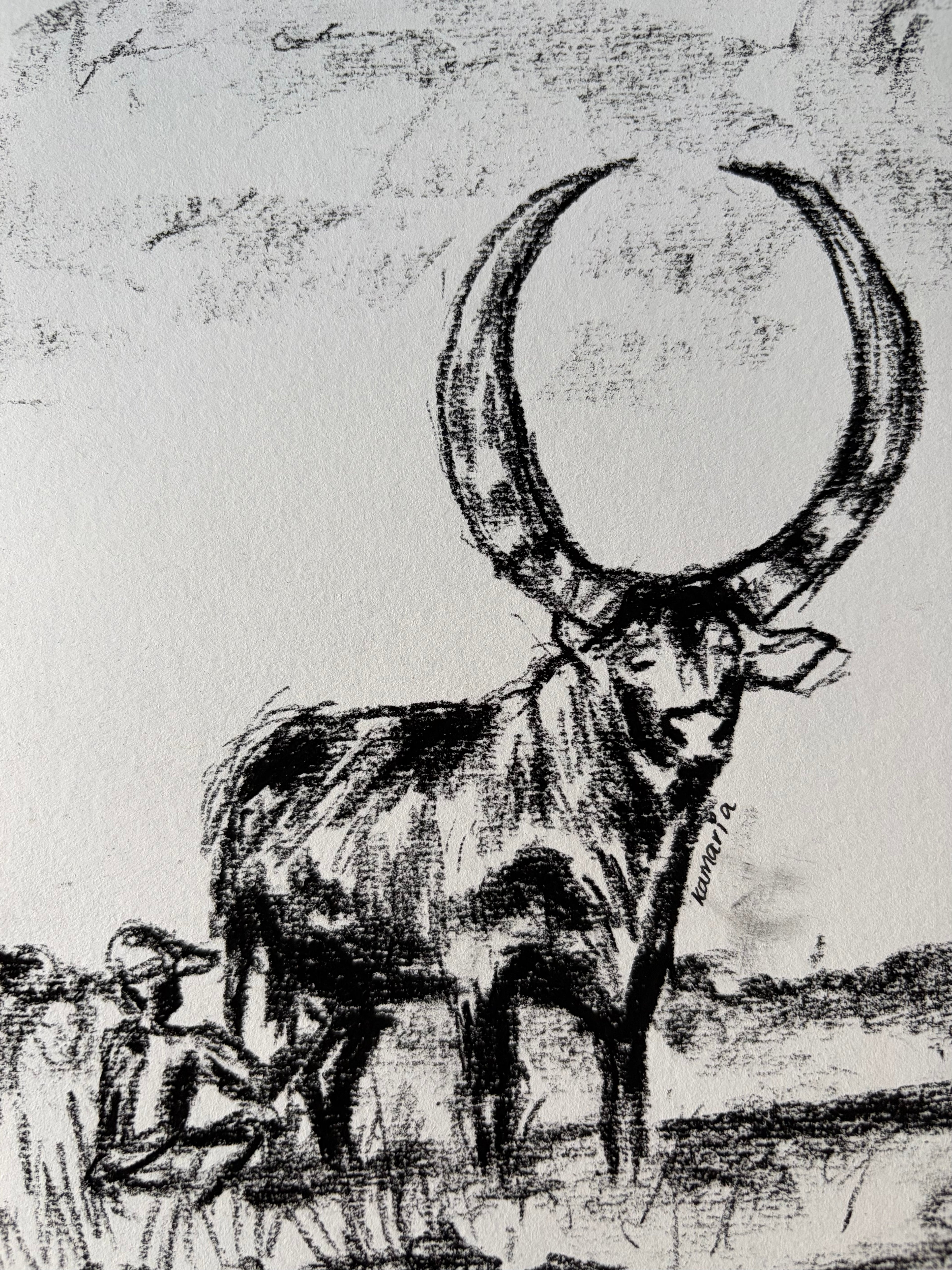 Ankole Cow A5 Charcoal(Limited Edition)