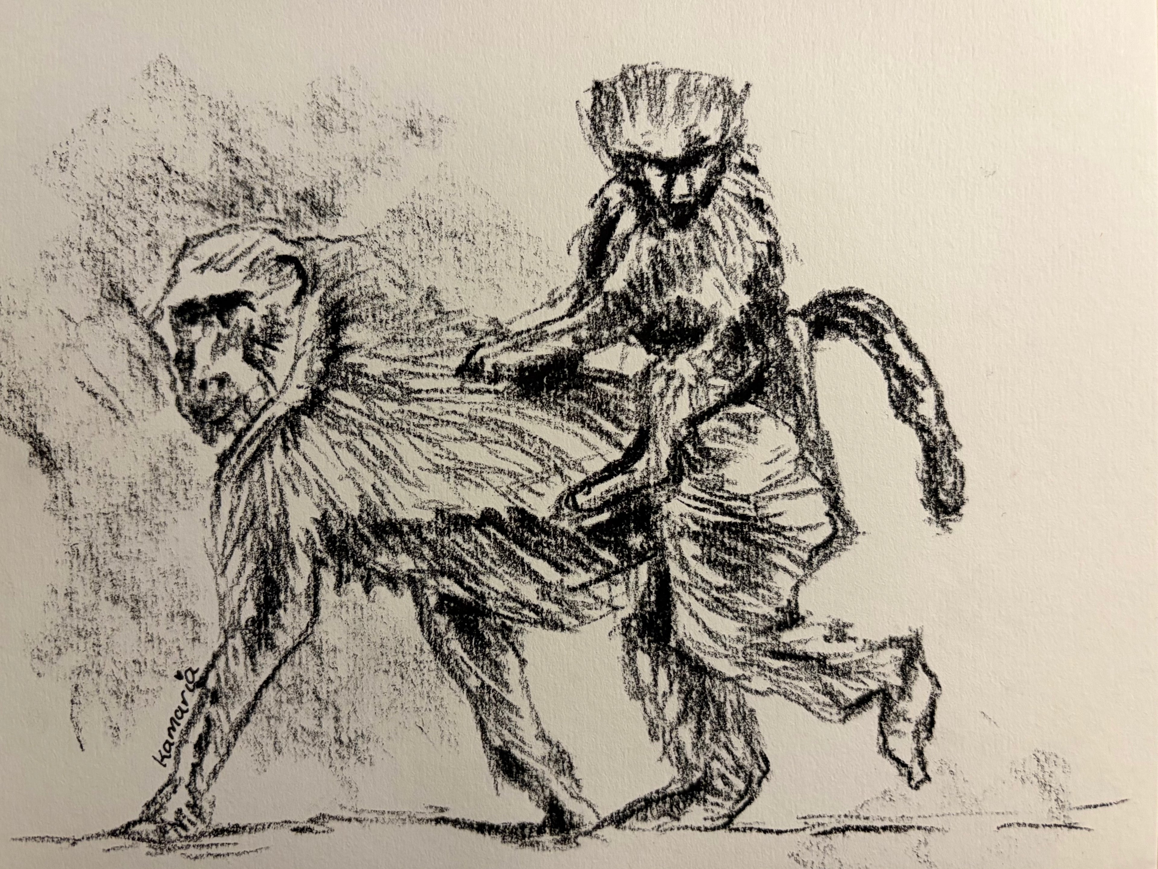 Baboon A5 Charcoal (Limited Edition)