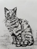 Cat A5 Charcoal(Limited Edition)