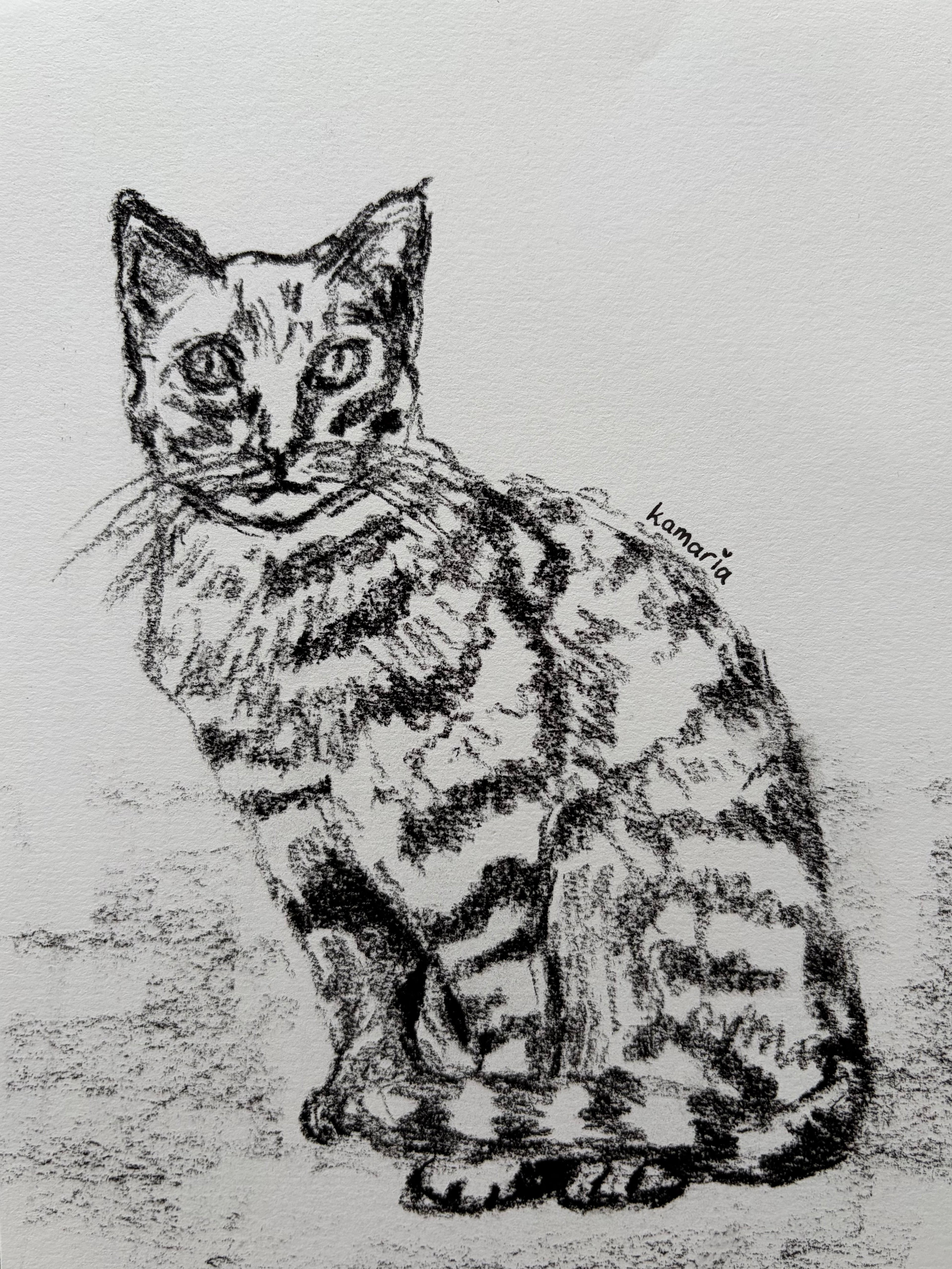 Cat A5 Charcoal(Limited Edition)