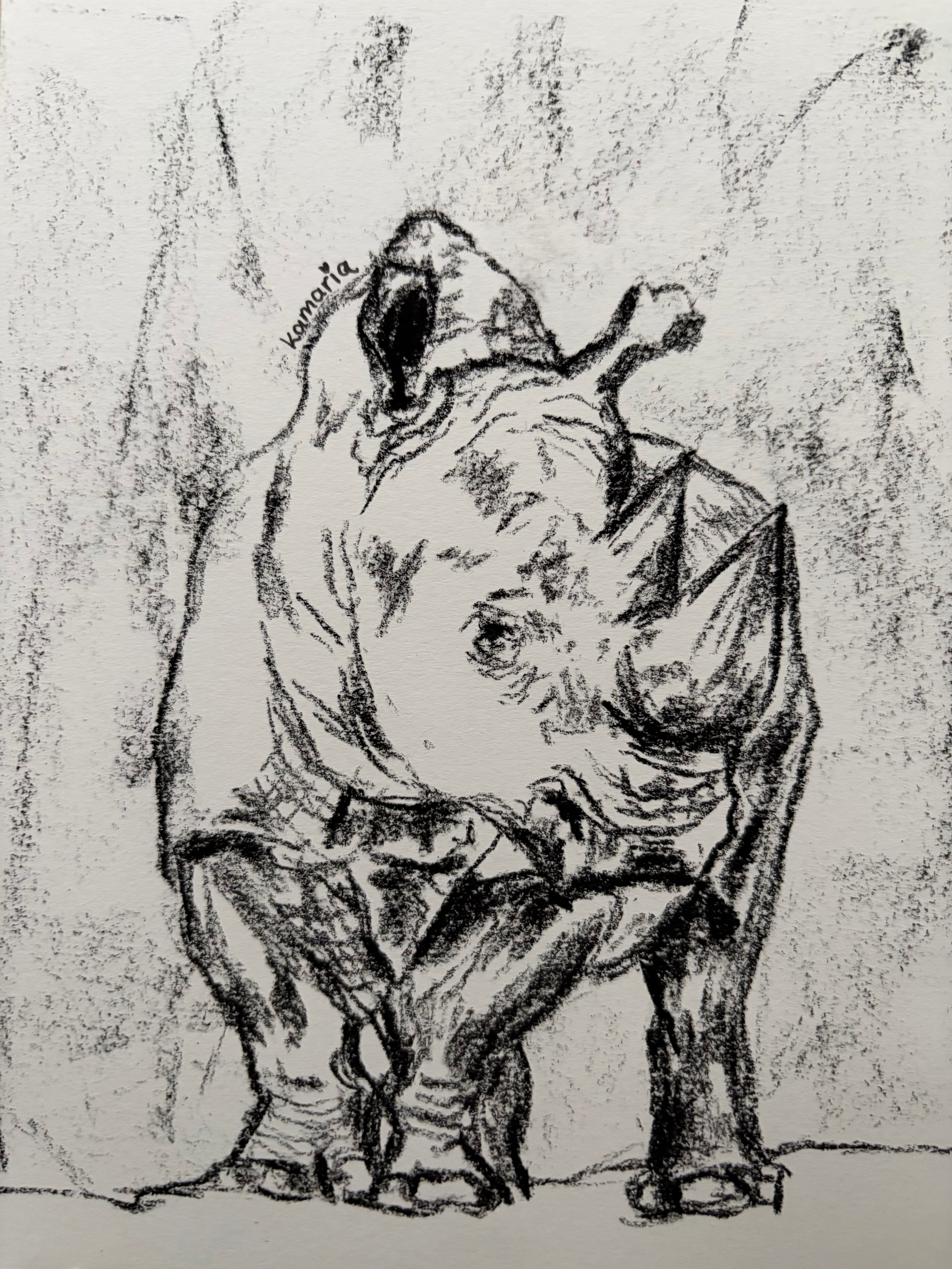 Rhino A5 Charcoal (Limited Edition)