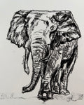 Elephant A5 charcoal(Limited Edition)