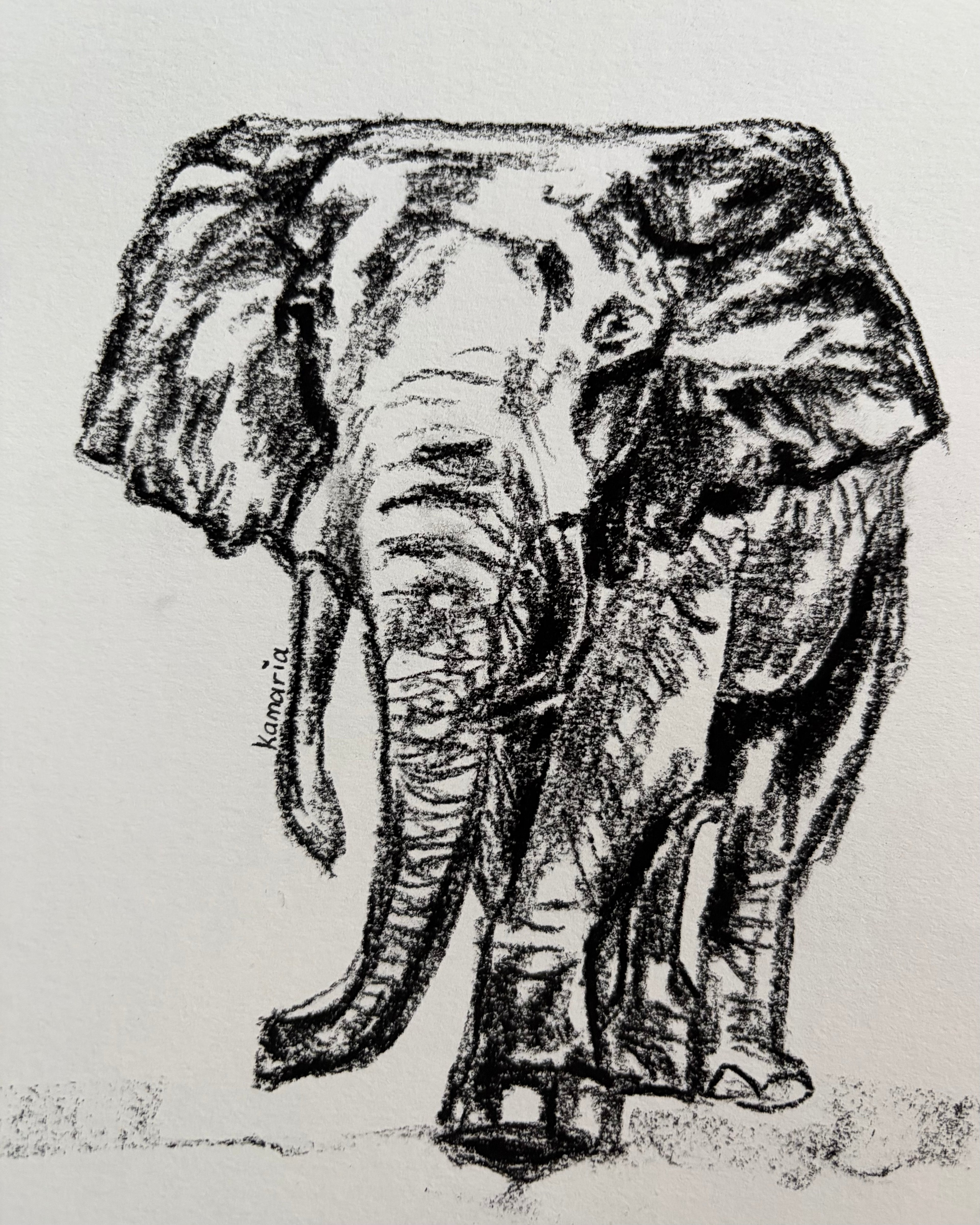 Elephant A5 charcoal(Limited Edition)