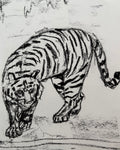 Tiger A5 Charcoal(Limited Edition)