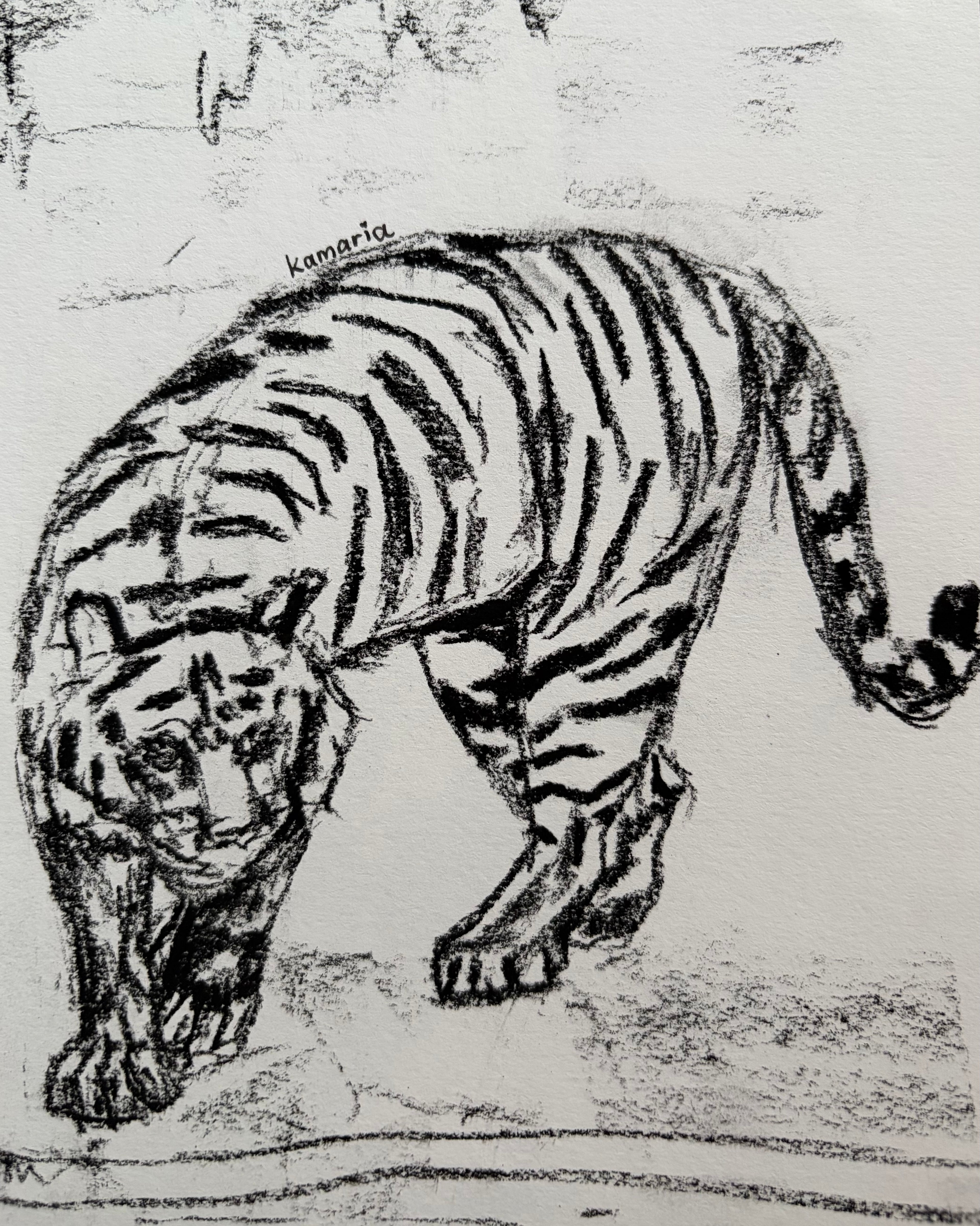 Tiger A5 Charcoal(Limited Edition)