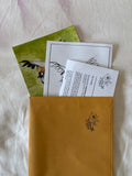 December 2025 Catch-up Mail