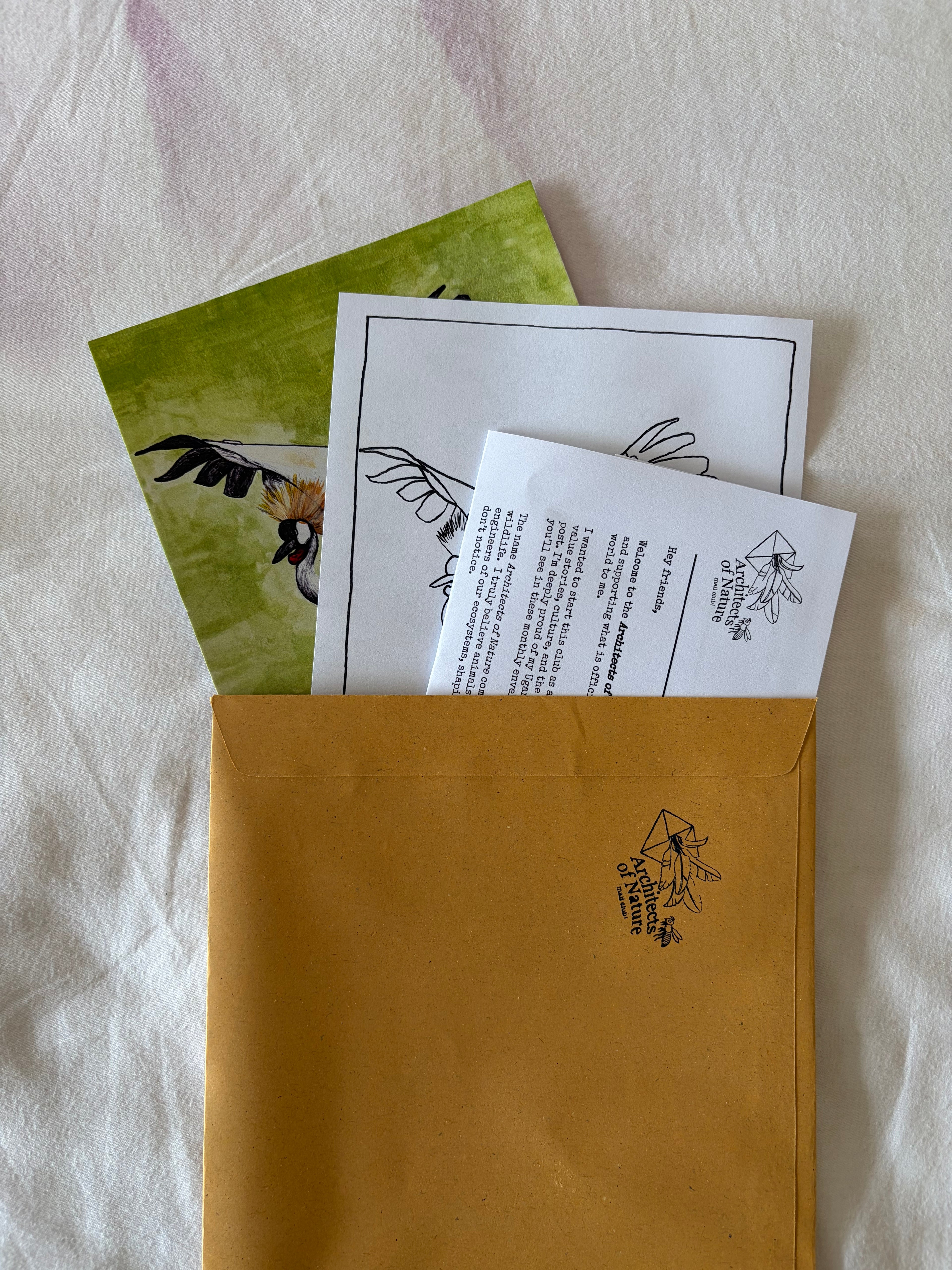 December 2025 Catch-up Mail