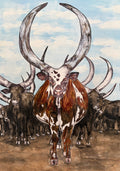 Ankole Cows Print
