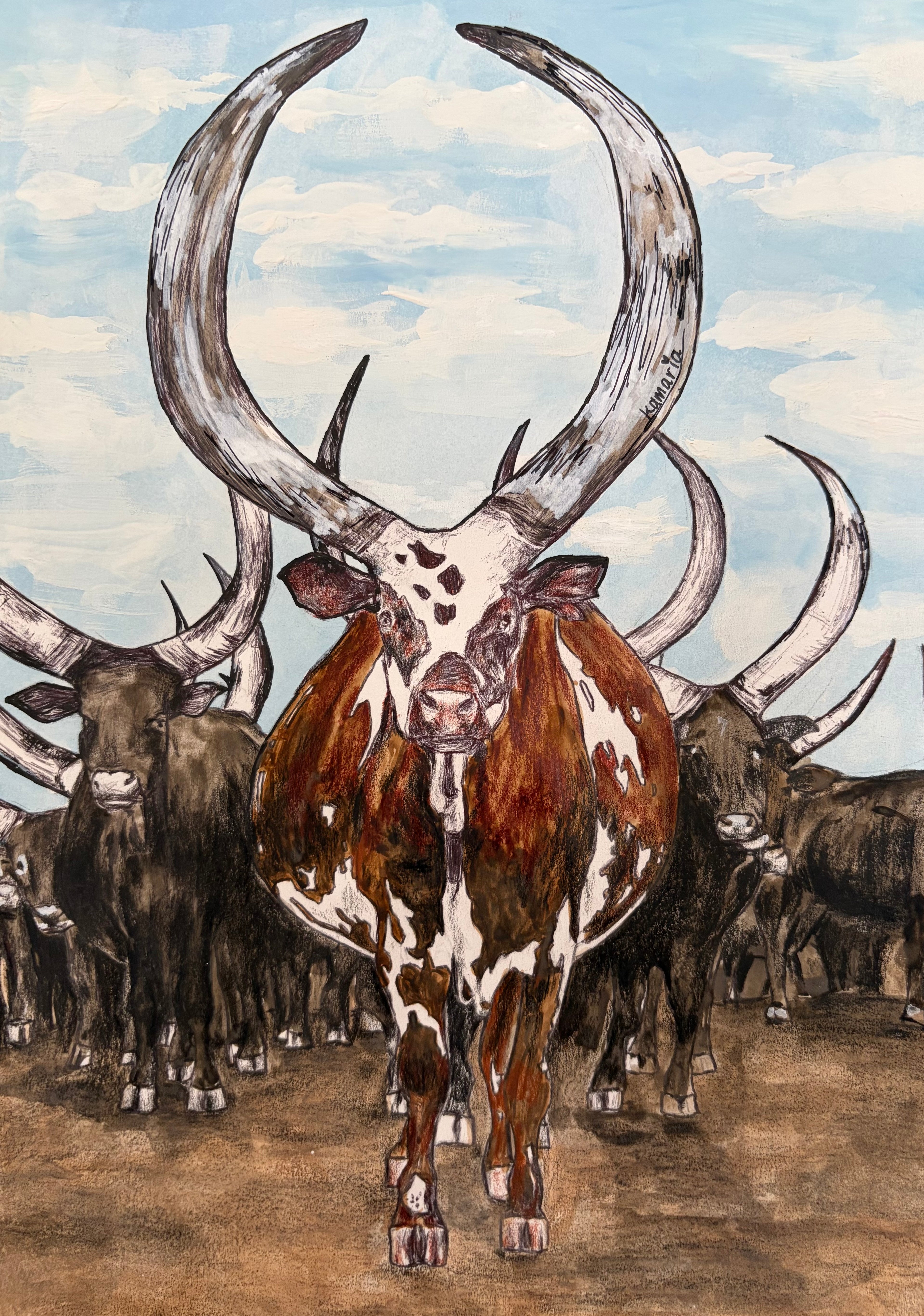Ankole Cows Print