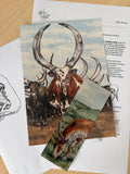 Architects of Nature mail club-Collector's Post