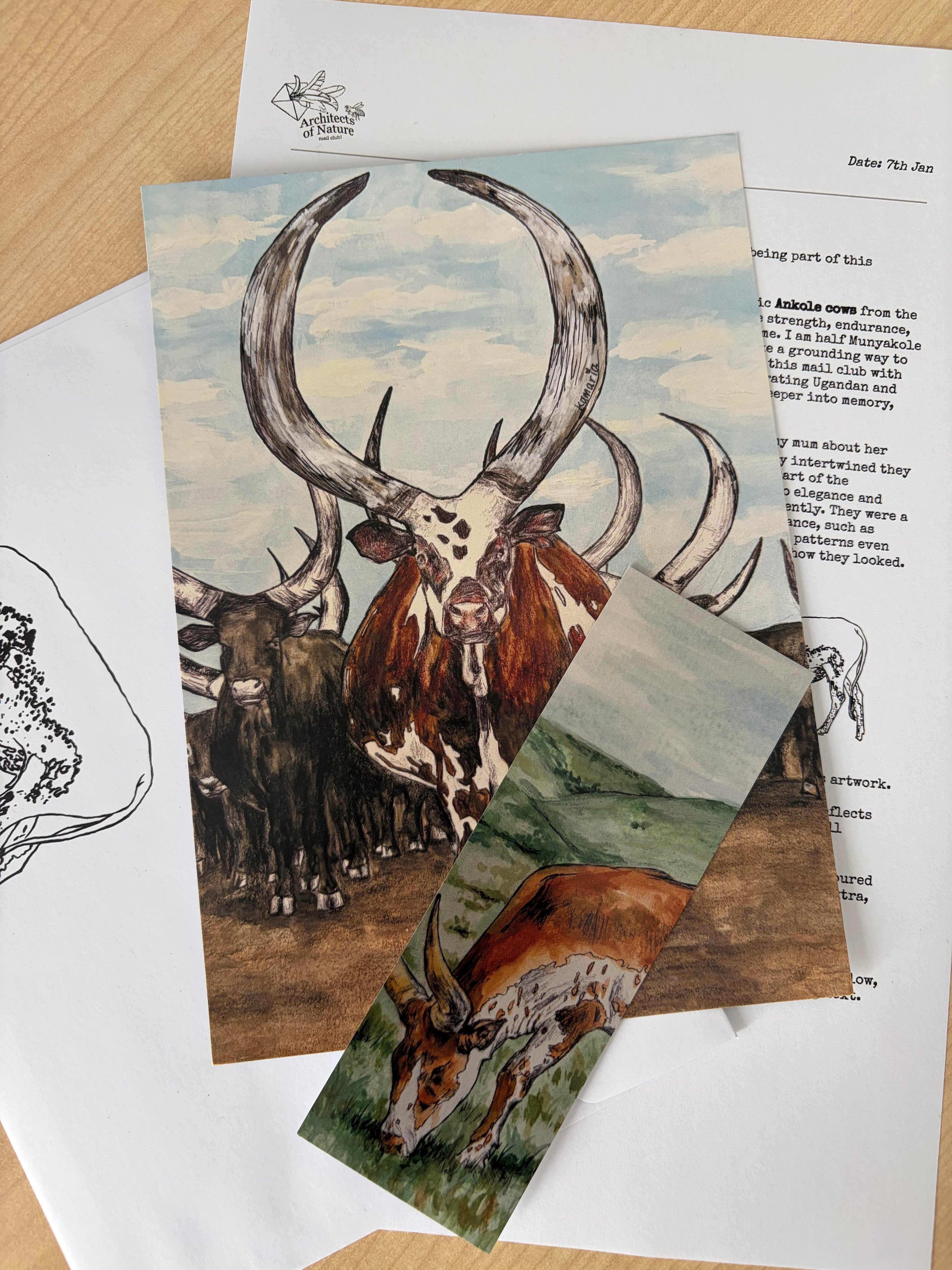 January 2026 Catch-up Mail